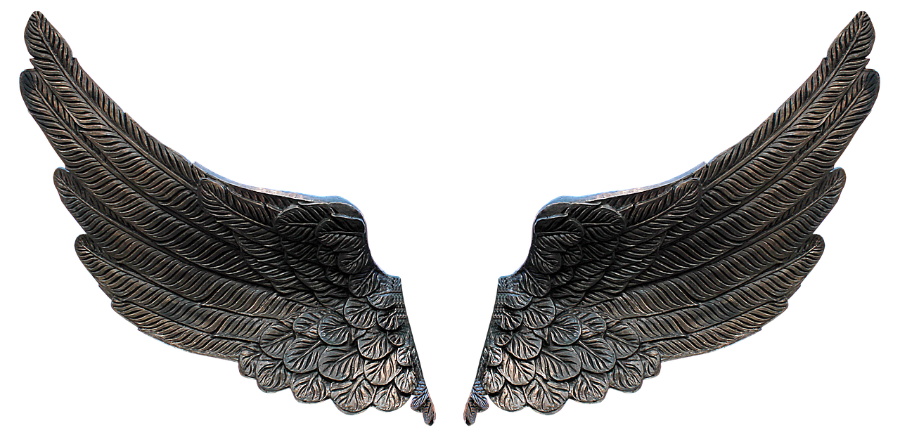 Featured image of post 处女座男生和巨蟹座女生幸福几率