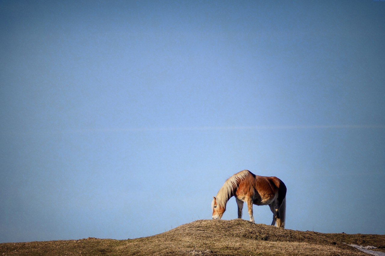 Featured image of post 双鱼座男生和摩羯座女生幸福几率