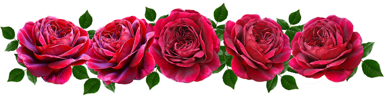 Featured image of post 摩羯座女生是金陵十二钗中的哪一个