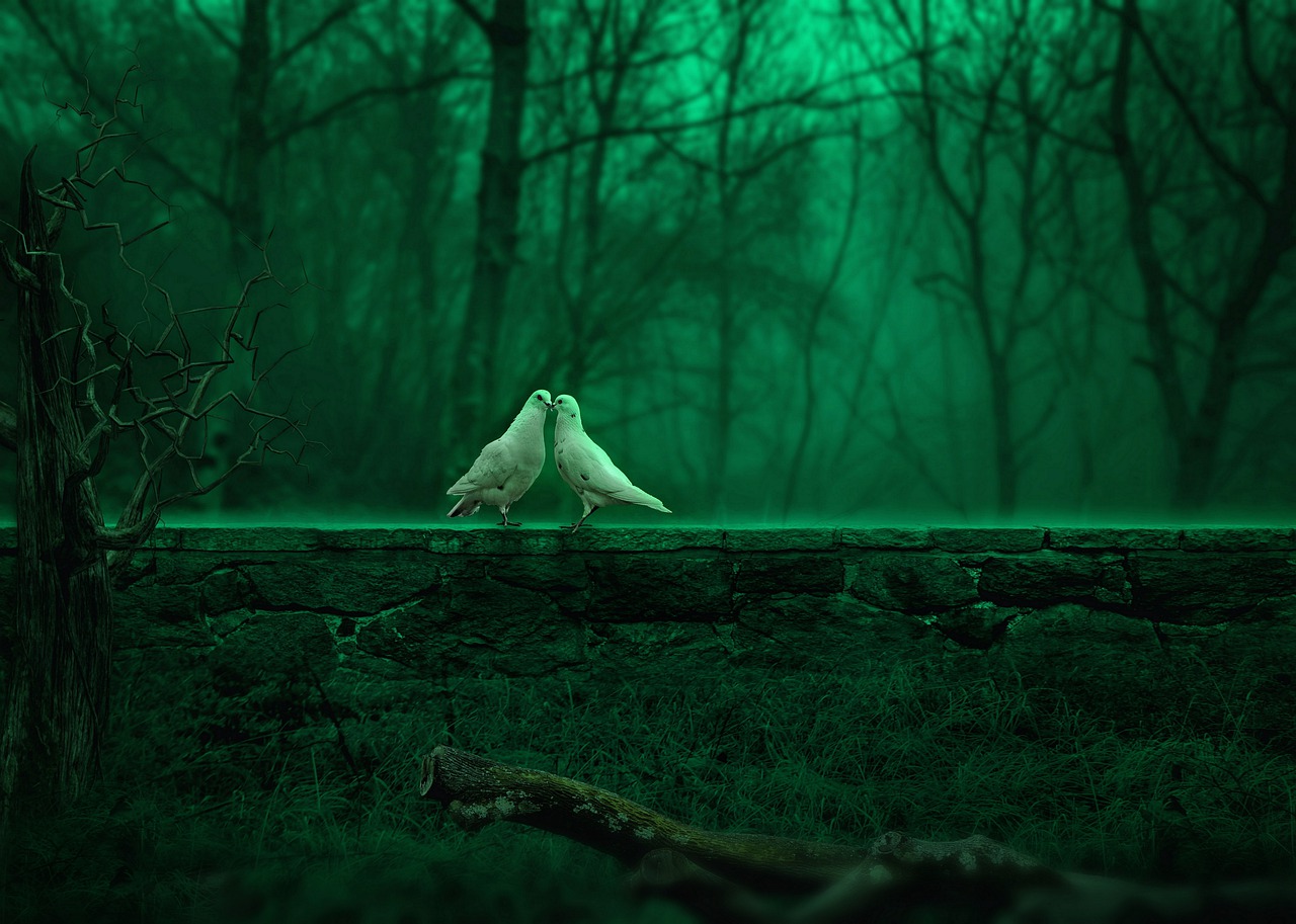 Featured image of post 白羊座恋爱后会变成什么样？