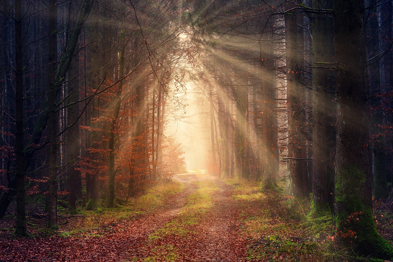 Featured image of post 水瓶座土豪最爱做什么事