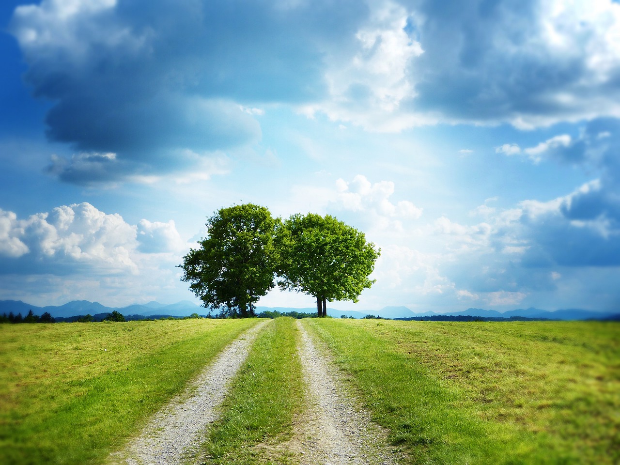 Featured image of post 摩羯座之阴暗面：坚韧不拔的苦行僧