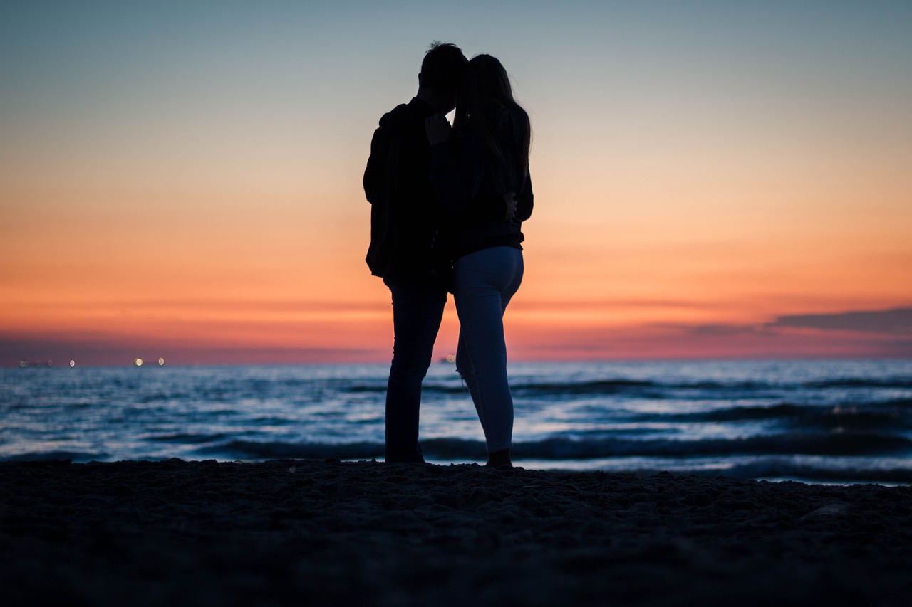 Featured image of post 狮子座的健身指南