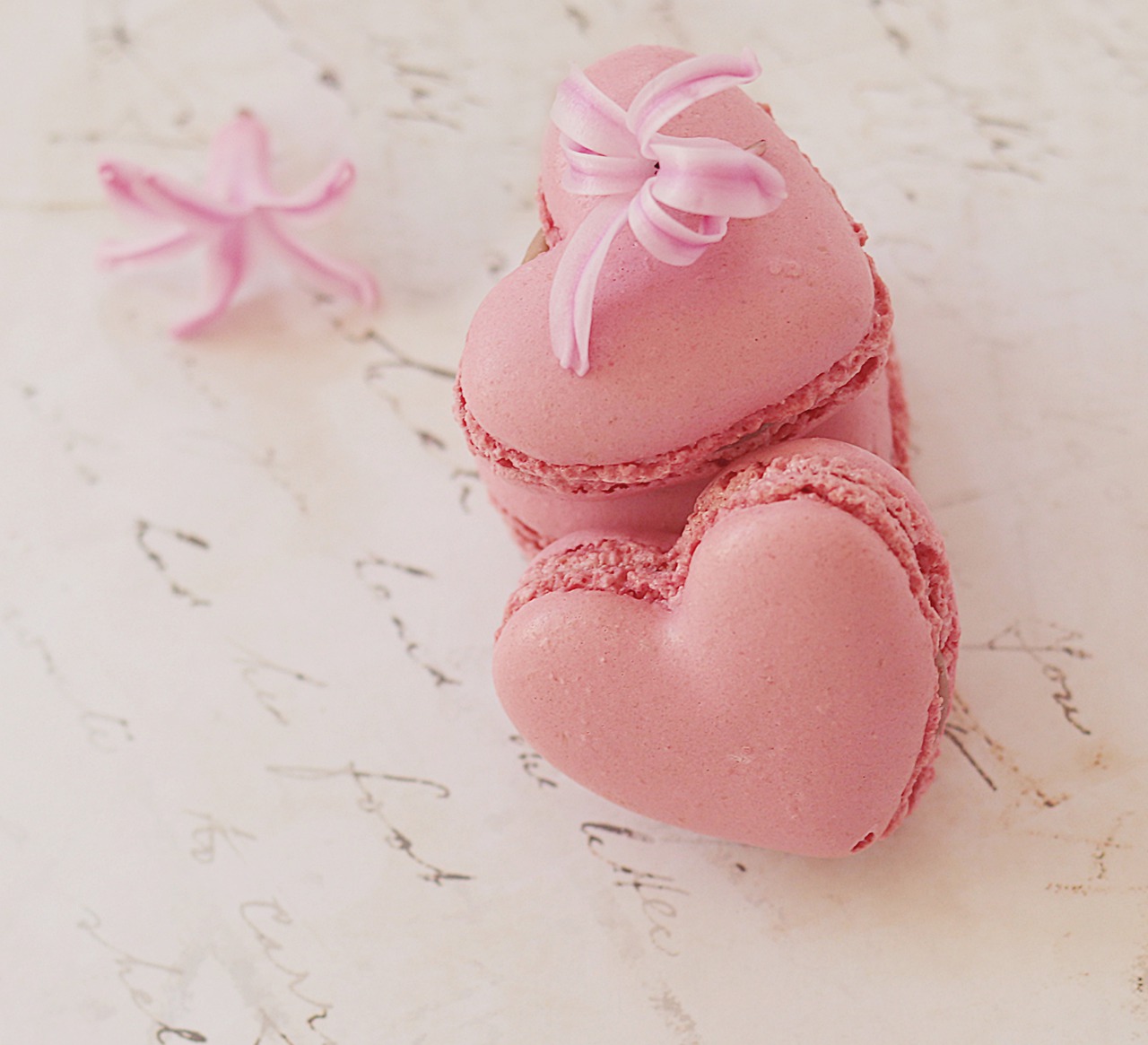 Featured image of post 水瓶座女生卧室的秘密